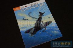 Polish_Spitfires_  001