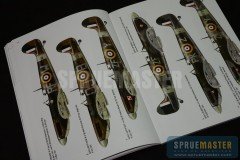 Polish_Spitfires_  003