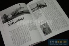Polish_Spitfires_  004