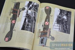 Polish-Wings-22-003