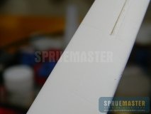 primer_029