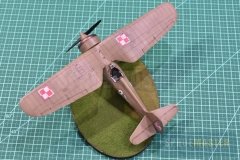 PZL-P11c-081