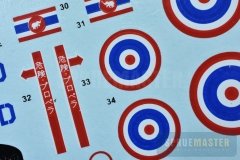 RODEN-BIRD-DOG-15