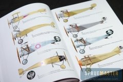 osprey_022