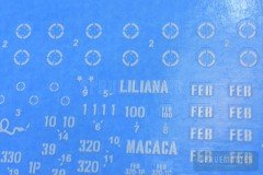 Scale-35-004