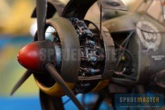 Wilson_Shepard-004