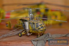 Wilson_Shepard-013