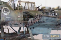 Wilson_Shepard-026