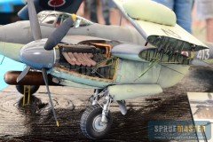 Wilson_Shepard-028