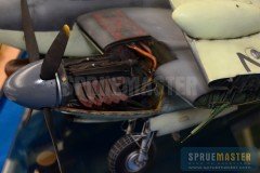 Wilson_Shepard-039