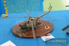 gppsd-2012_008