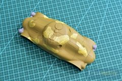 PA-Turtle-II-37