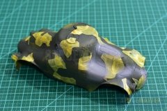 PA-Turtle-II-44