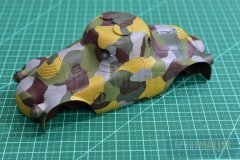 PA-Turtle-II-49