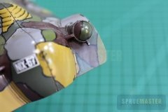 PA-Turtle-II-68