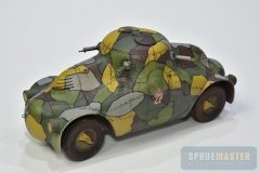 PA-Turtle-II-14