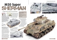 smm_nov11_06