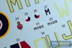 Spitfire Mk IX  040