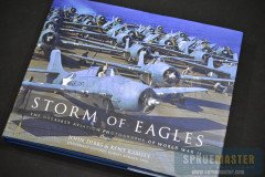storm-of-eagles-01