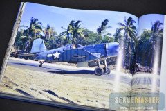 storm-of-eagles-04
