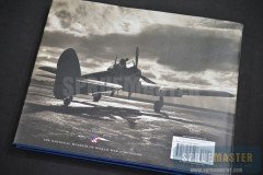 storm-of-eagles-06