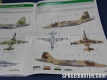 su25k_frogfoot_eduard_0009