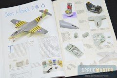 SUEZ-VALIANT-006