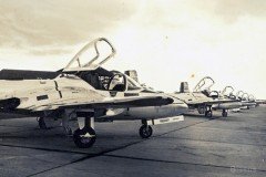 T 37 NT 14