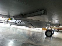 musal-fuse-asa-1