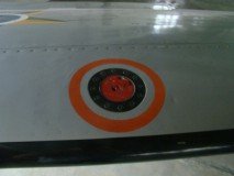 musal-fuse-asa-19