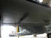 musal-fuse-asa-3