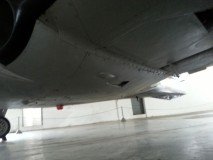 musal-fuse-asa-4