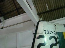 musal-fuse-cauda-14