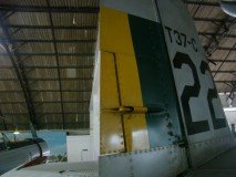 musal-fuse-cauda-15