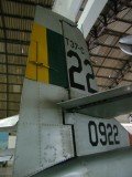 musal-fuse-cauda-3