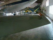 musal-fuse-cauda-4