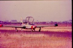 t-37-6