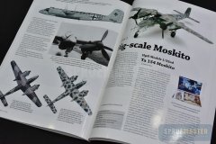 Ta-154-Moskito-009