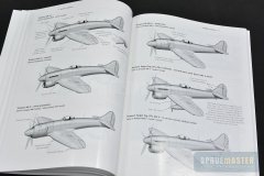 TEMPEST-VALIANT-009