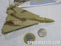 f-14a_tomcat_iran_37