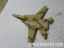 f-14a_tomcat_iran_39