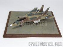 f-14a_tomcat_iran_59