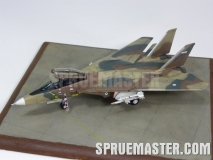 f-14a_tomcat_iran_62
