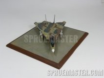 f-14a_tomcat_iran_64