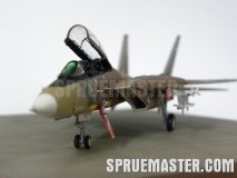 f-14a_tomcat_iran_73