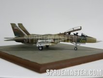 f-14a_tomcat_iran_76