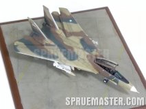 f-14a_tomcat_iran_77