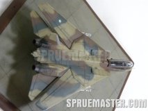 f-14a_tomcat_iran_78