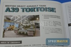 a39-tortoise-043