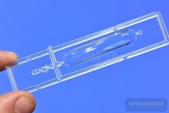 TT-1-Pinto-SPR_0663